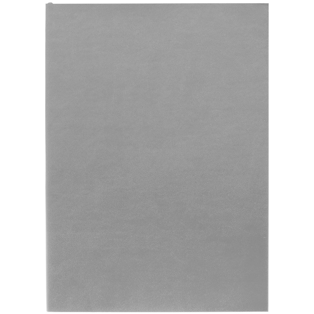 Ежедневник Flat Light, недатированный