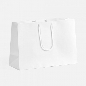 Пакет бумажный с ламинацией Lami Tote M
